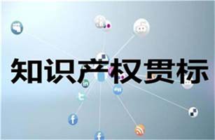威士邦環(huán)境順利完成企業(yè)知識產(chǎn)權(quán)管理體系貫標(biāo)認(rèn)證審核