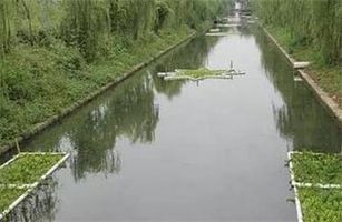 生態(tài)環(huán)境部水司有關(guān)負(fù)責(zé)人就《“十四五”城市黑臭水體整治環(huán)境保護(hù)行動(dòng)方案》答記者問