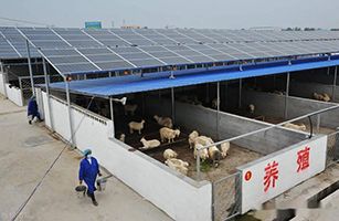 福建省生態(tài)環(huán)境廳、農(nóng)業(yè)農(nóng)村廳聯(lián)合召開《進(jìn)一步深化畜禽養(yǎng)殖污染防治十條措施》政策解讀視頻會(huì)